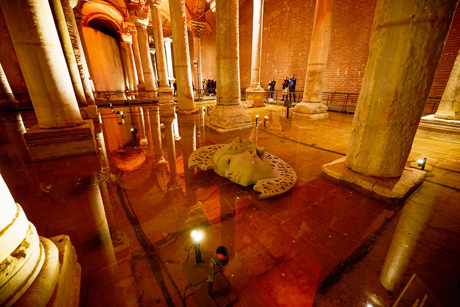 Basilica Cistern Sea Anemone